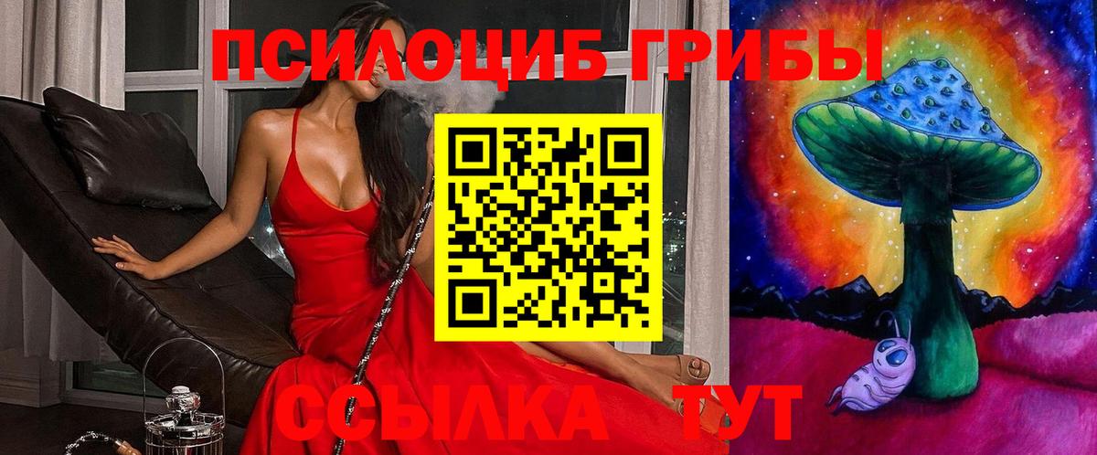 Свободный  Галлюциногенные грибы Magic Shrooms  Псилоцибиновые грибы MAGIC MUSHROOMS  Вход с VPN 