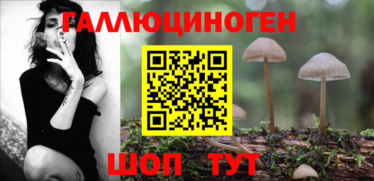 Галлюциногенные грибы Psilocybe Свободный